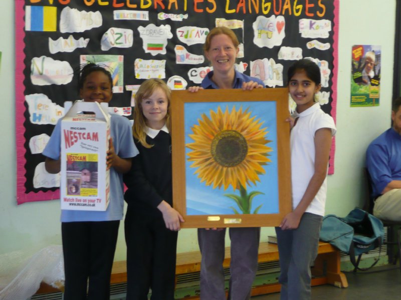 Sunflower Winners